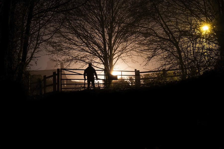 Winter silhouette Photograph by Edward Crawford