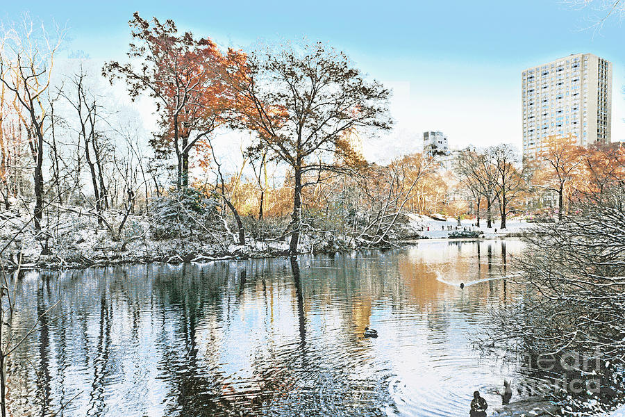 Winter Simplicity Central Park I Photograph