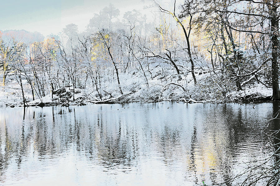 Winter Simplicity Central Park II Photograph