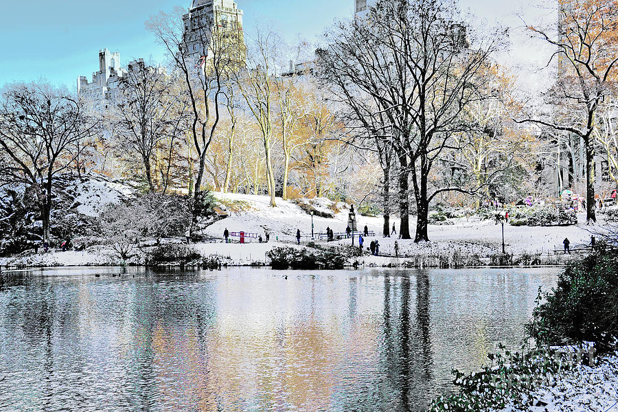 Winter Simplicity Central Park IIi Photograph