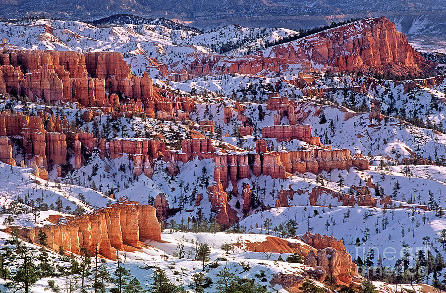 Winter Sinking Ship And Hoodoos Bryce Canyon National Park Photograph by Dave Welling