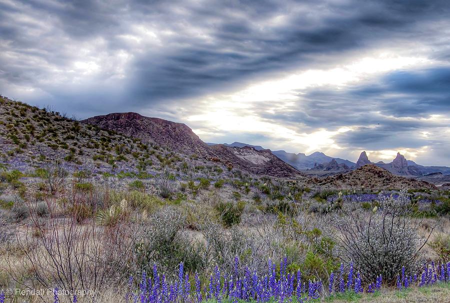 Winter Skies in Big Bend Photograph by Pam Rendall