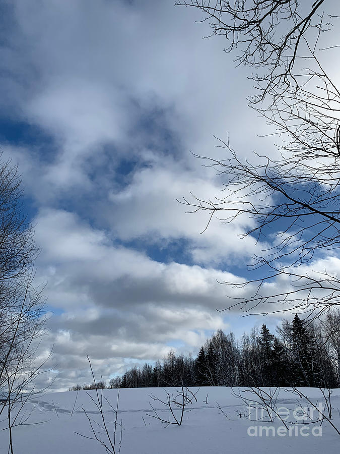 Winter Sky Cloud Pattern  Photograph by Judy Dimentberg