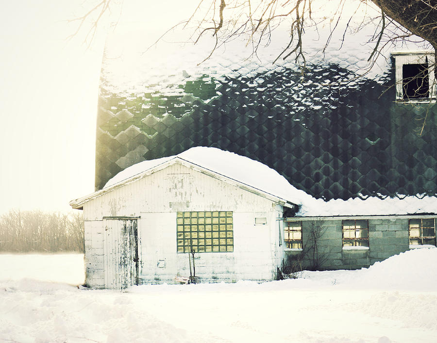 Winter Slumber Photograph by Julie Hamilton