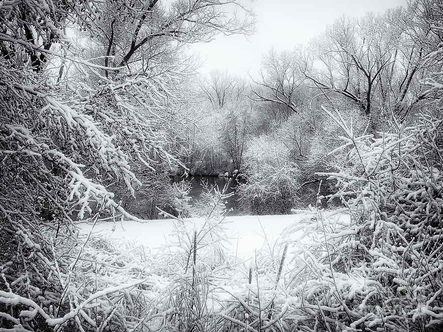 Winter Snow At Huron River Photograph by Phil Perkins