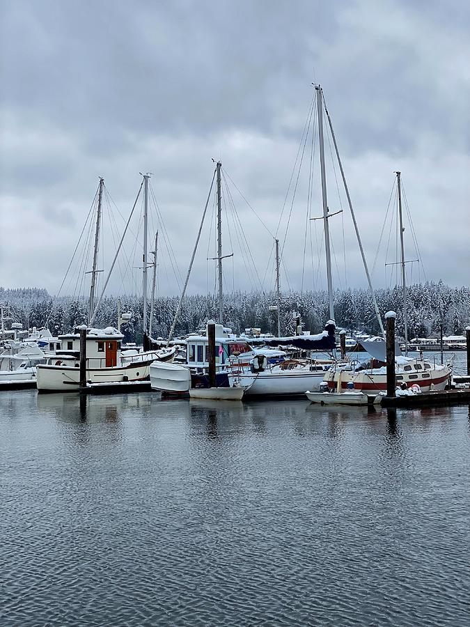 Winter Snow at the Marina Photograph by Jerry Abbott
