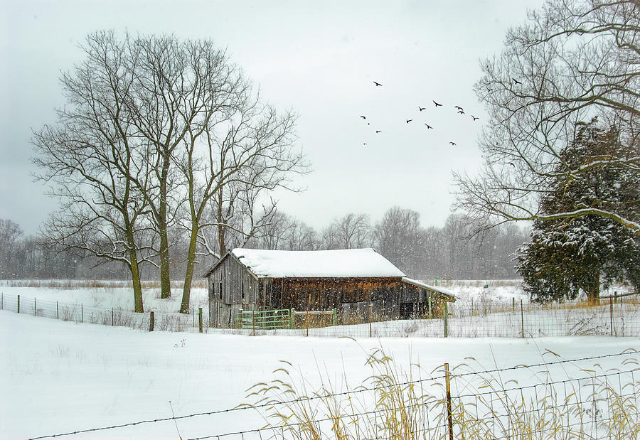 Winter Snow Barn Photograph by Mary Timman
