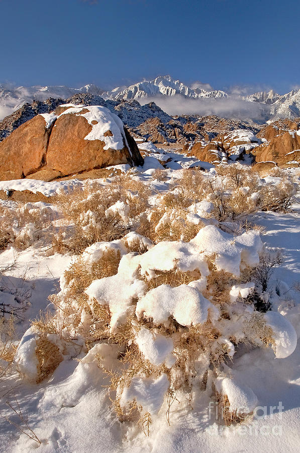 Winter Snow Covers The Alabama Hills California Photograph by Dave Welling