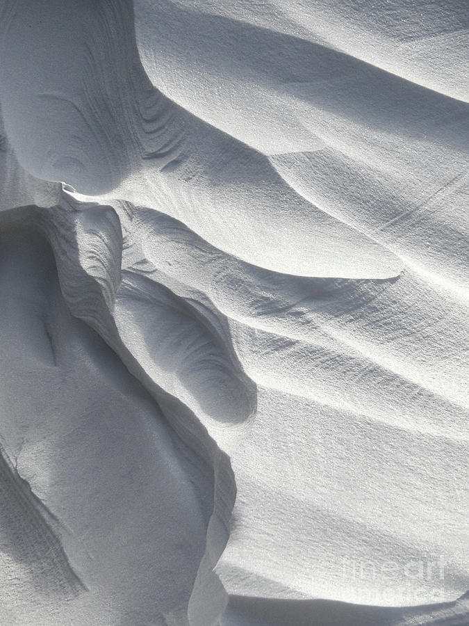 Winter Snow Drift Sculpture  Photograph by Phil Perkins
