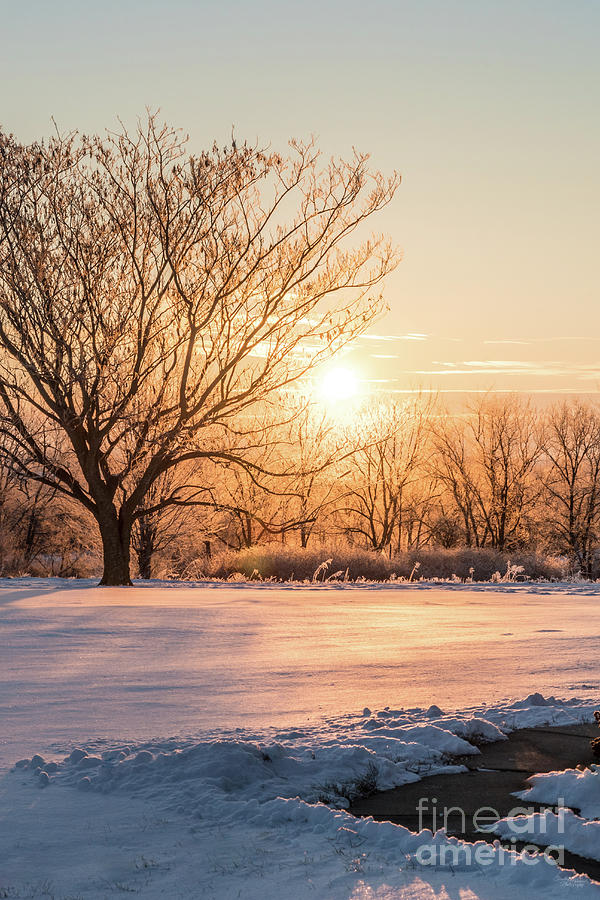 Winter Snow Golden Sunrise Photograph by Jennifer White