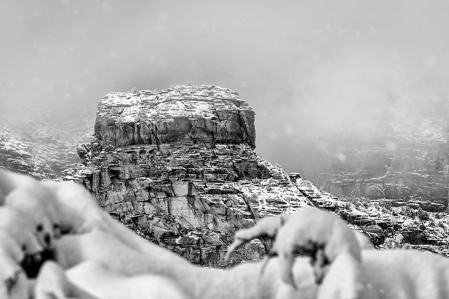 Black And White Photograph - Winter Snow in Sedona Mountains by Good Focused