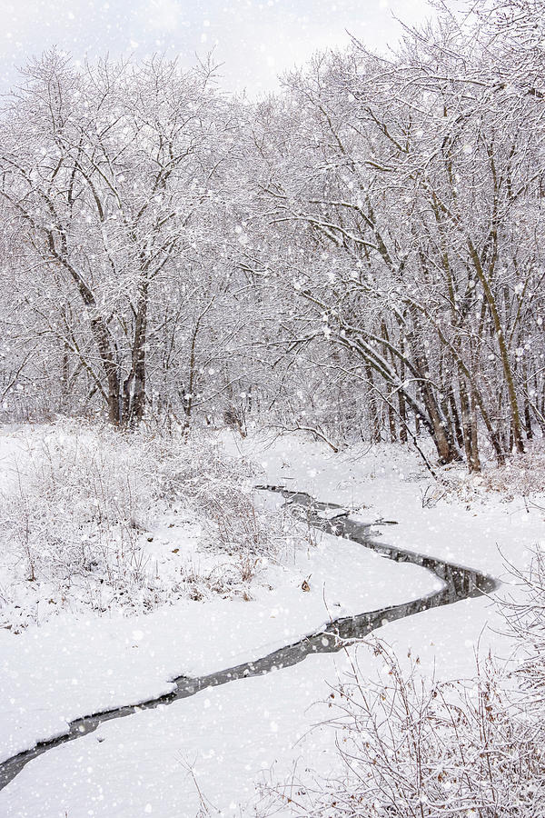 Winter Snow Storm Stream - Vertical Photograph by Patti Deters