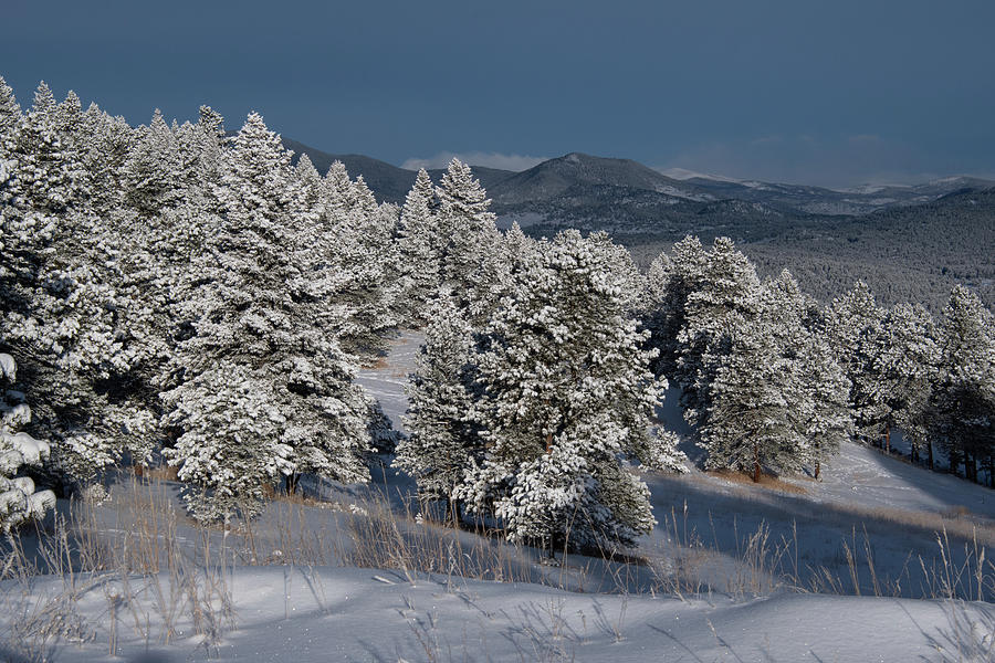 Winter Snowfall in the Foothills Photograph by Cascade Colors