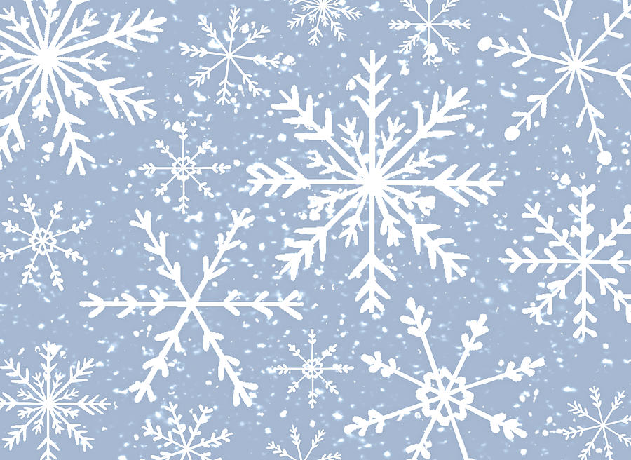 Winter Snowflakes Digital Art by HH Photography of Florida
