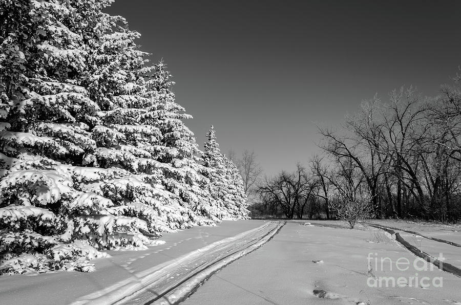 Winter Snowy Road. B/w Photograph