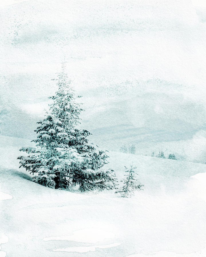Winter Solitude 2 Mixed Media by Colleen Taylor