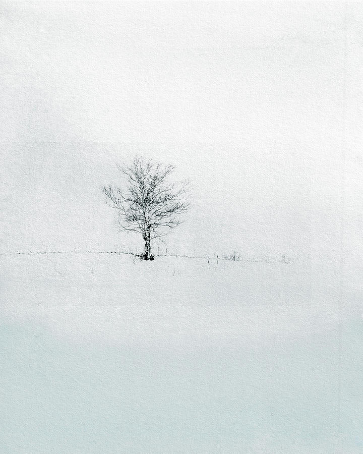 Winter Solitude Mixed Media by Colleen Taylor