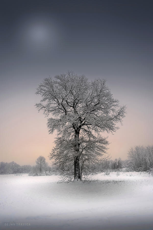 Winter solitude Photograph by Dejan Travica Winter solitude Photograph by Dejan Travica