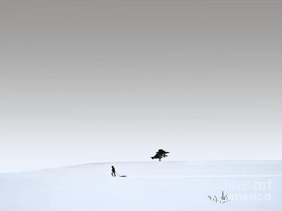 Winter solitude, white silence Photograph by Tatiana Bogracheva