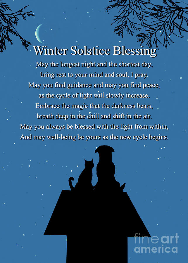 Winter Solstice Blessings Cute Dog and Cat on Dog House Yule Greetings Photograph by Stephanie Laird