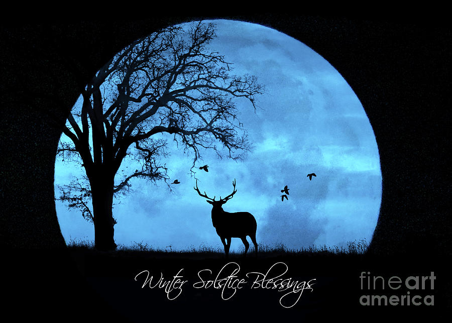 Winter Solstice Blessings With Elk Oak Tree And Big Full Moon Photograph By Stephanie Laird