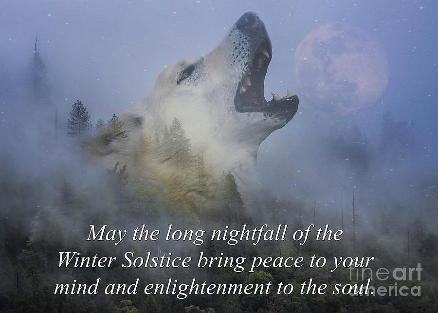 Winter Solstice Blessings with Spirt Wolf in Forest Native American Photograph by Stephanie Laird