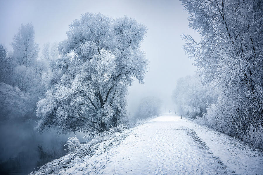 Winter Spell Photograph by Philippe Sainte-Laudy