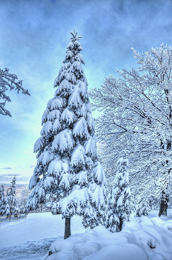 Winter Spruce Over Wausau Photograph by Dale Kauzlaric