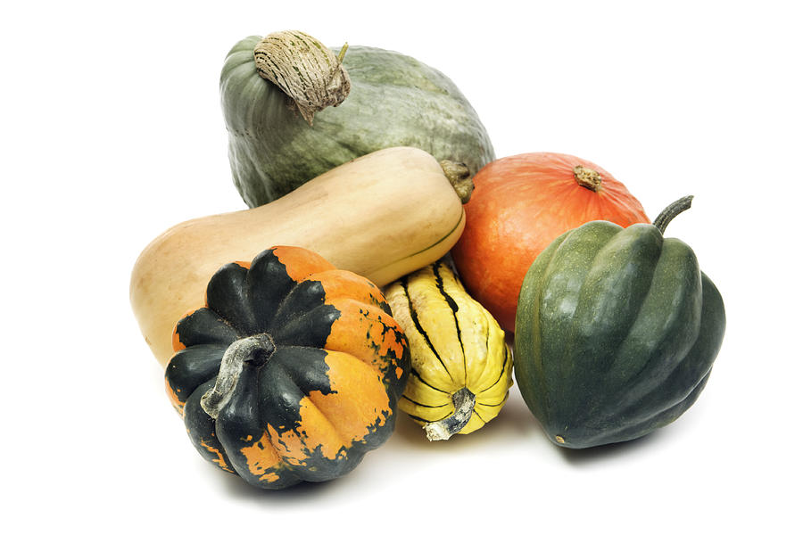 Winter Squash Gourd Family, Still Life Isolated on White Background Photograph by YinYang