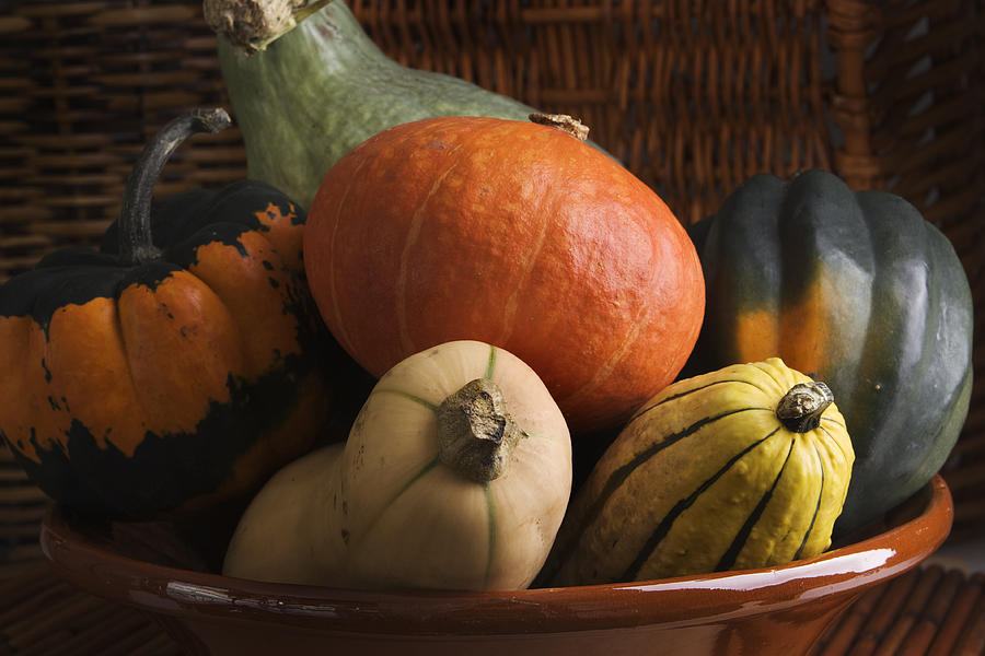 Winter Squash Vegetable Varieties Group—Acorn, Butternut, Carnival, Delicata, Hubbard Photograph by YinYang