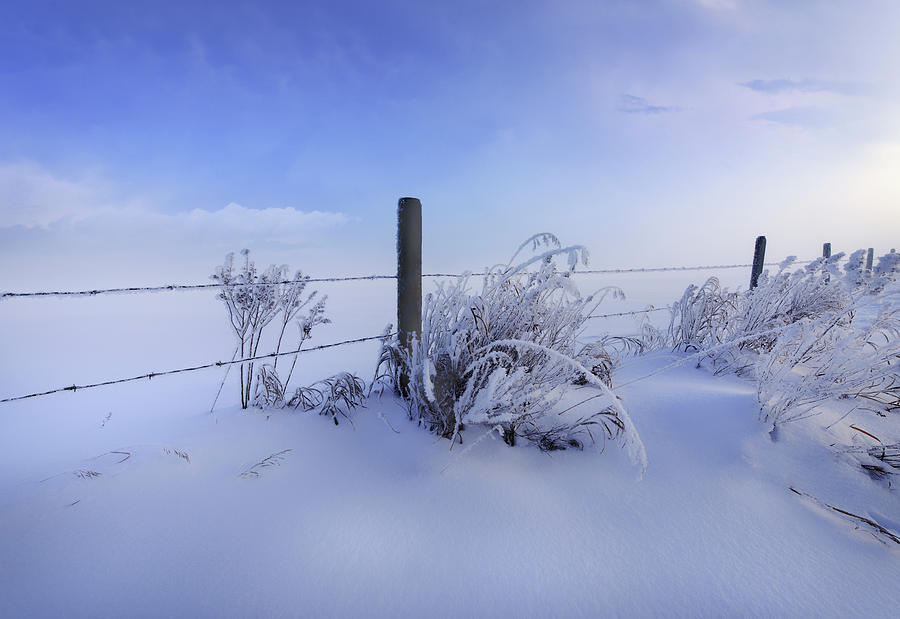 Winter Photograph - Winter Still Life by Dan Jurak