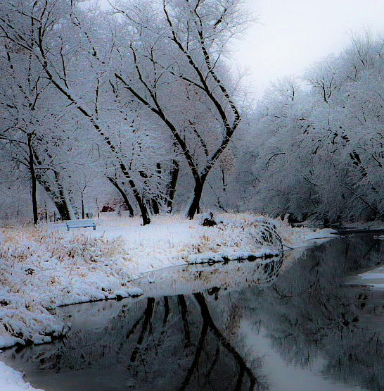 Frigid Winter Stillness Photograph by Andrea Whitaker