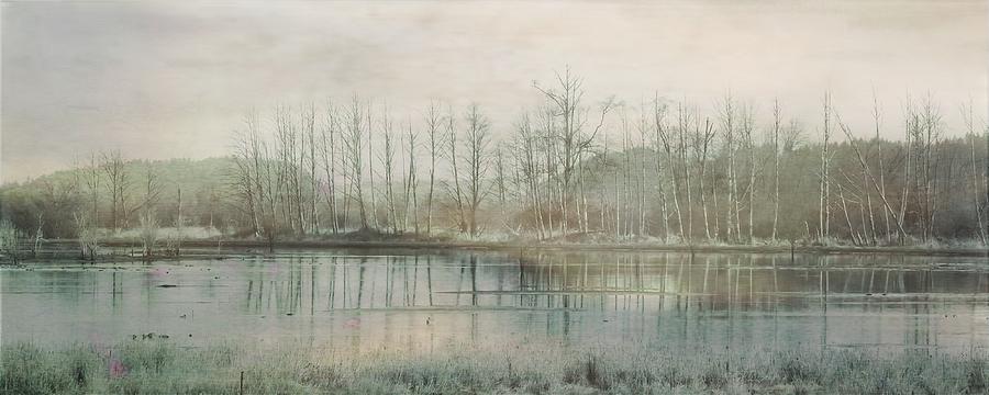 Winter Stillness Photograph by Iina Van Lawick