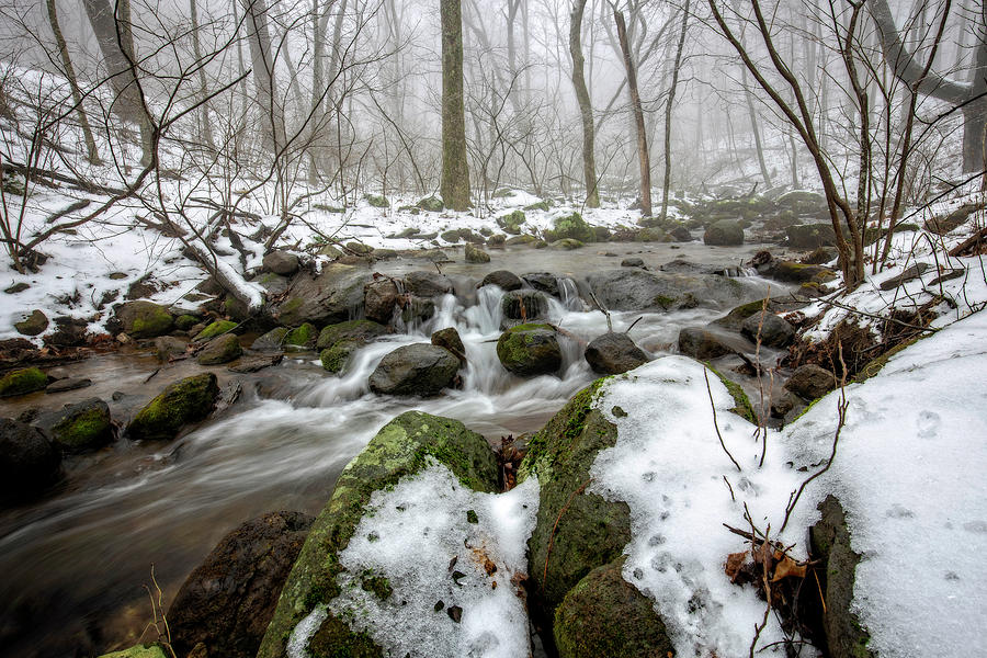 Winter Stream Photograph by Alan Raasch