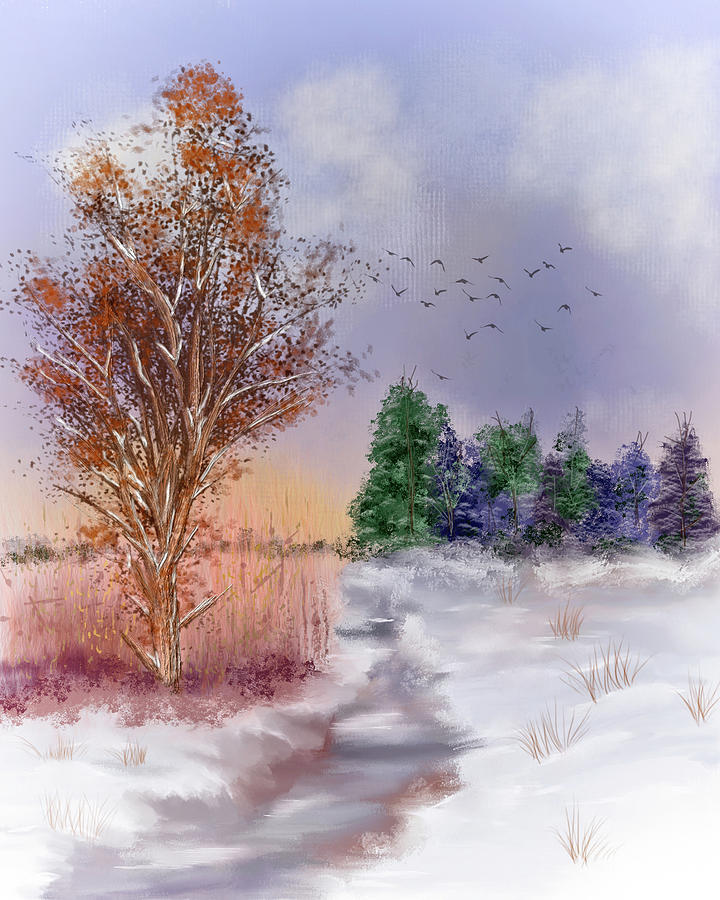 Winter Stream Digital Art by Mary Timman