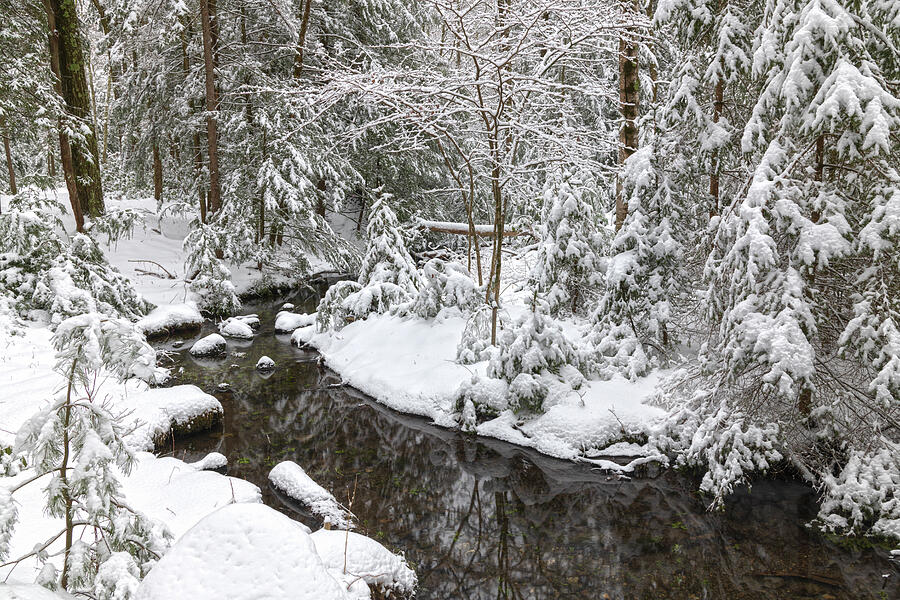 Winter Photograph - Winter Stream Secret Serenade  by Angelo Marcialis