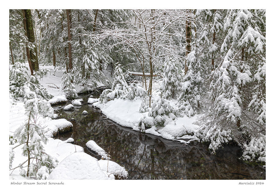 Winter Stream Secret Serenade The Signature Series Photograph by Angelo Marcialis