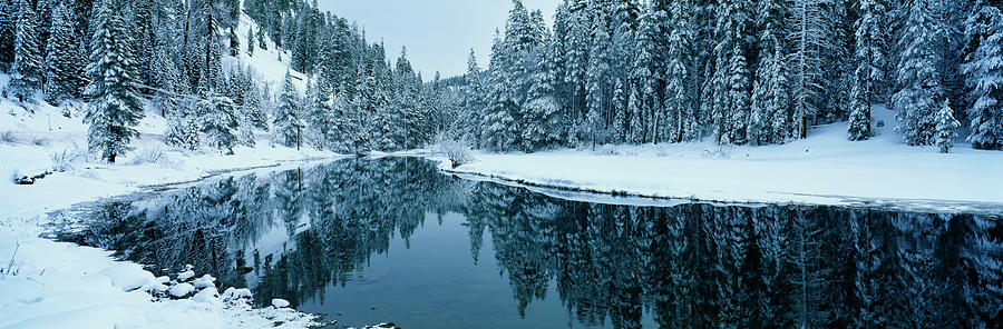 Winter Stream Tahoe CA Photograph by Panoramic Images