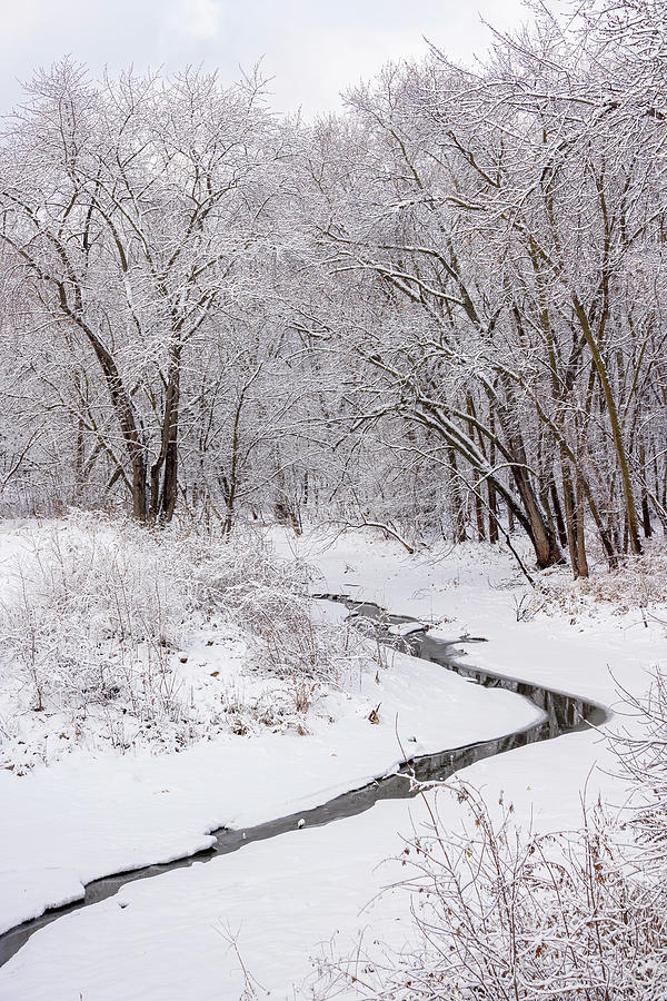Winter Stream - Vertical Photograph by Patti Deters
