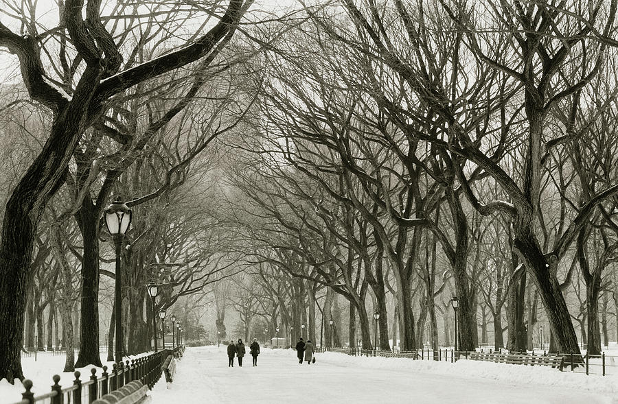 Winter Stroll in Central Park, 2000  Photograph by Michael Chiabaudo