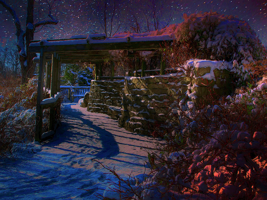 Winter Stroll on the Moonlit Path Mixed Media by Ron Grafe