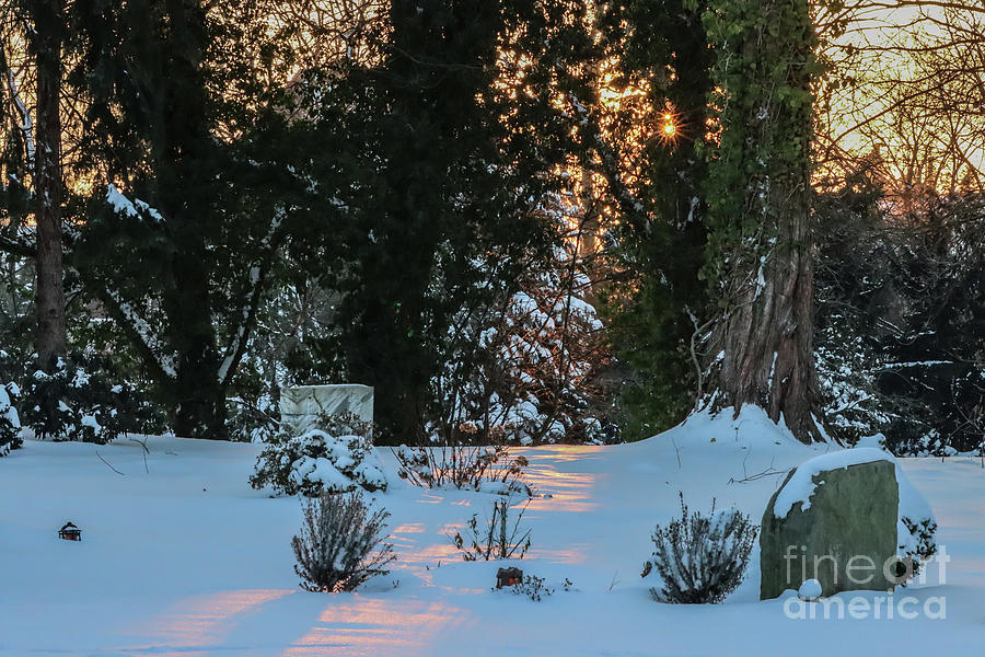 Winter Photograph - Winter Sun at the Cemetery by Eva Lechner