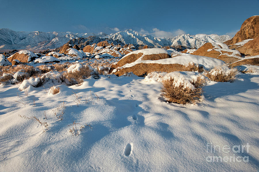 Winter Sunrise Alabama Hills Eastern Sierras Photograph by Dave Welling