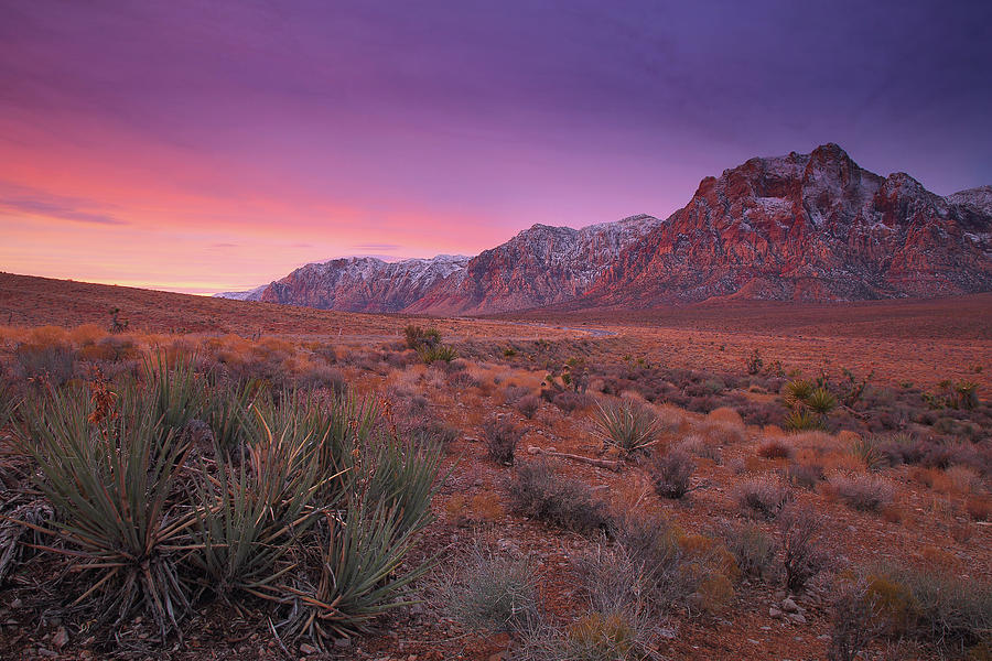 Winter sunrise at Red Rock Canyon National Conservation Area in Nevada Photograph by Jetson Nguyen