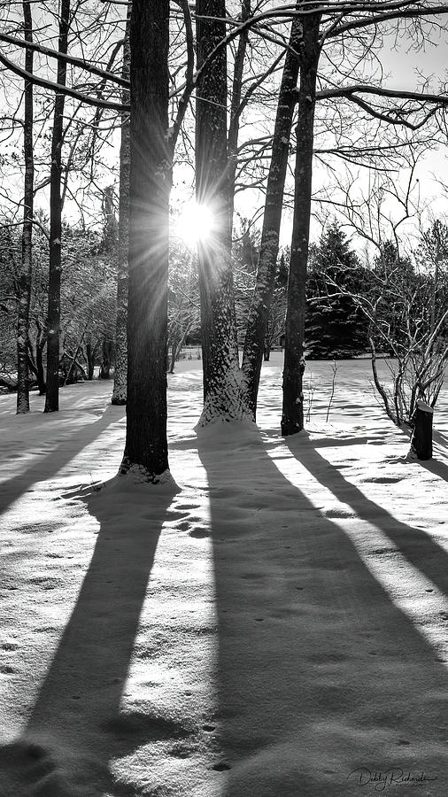 Winter Sunrise Black and White Photograph by Debby Richards