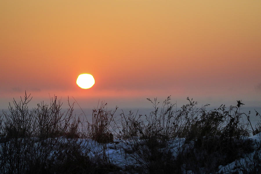 Winter Sunrise Photograph by Brook Burling