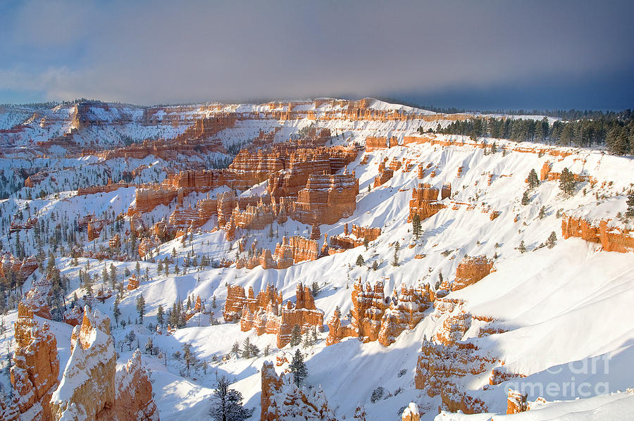Winter Sunrise Bryce Canyon National Park Utah Photograph by Dave Welling