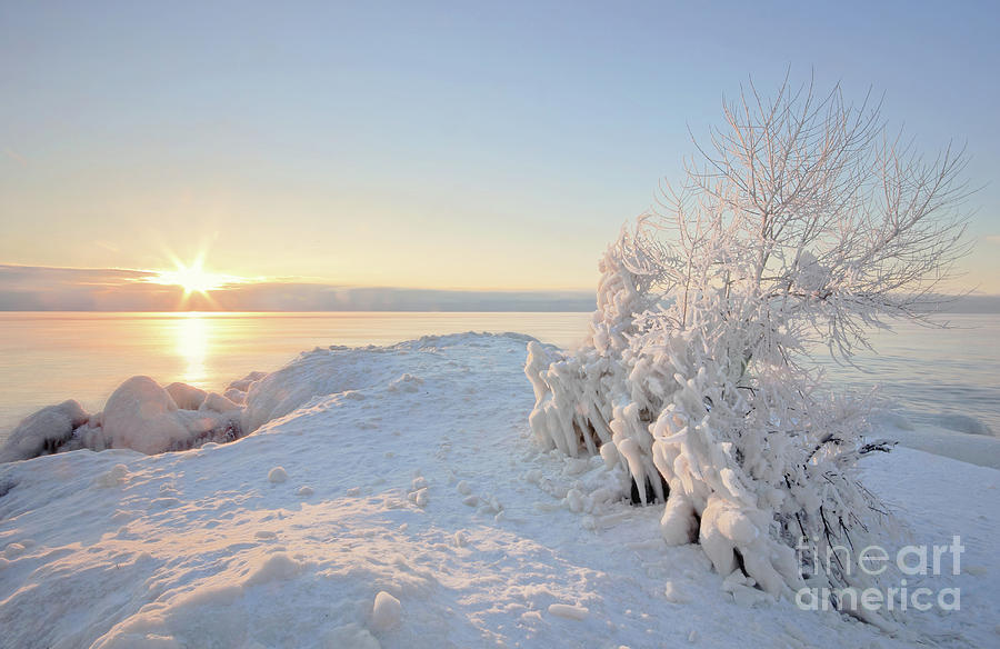 Winter Sunrise Photograph by Charline Xia