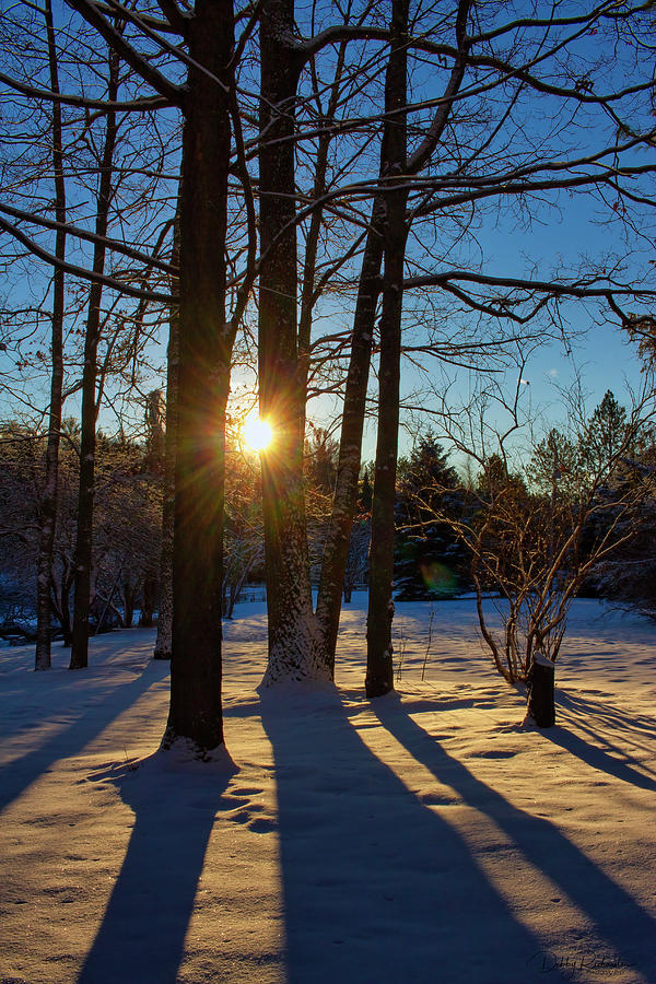 Winter Sunrise Photograph by Debby Richards
