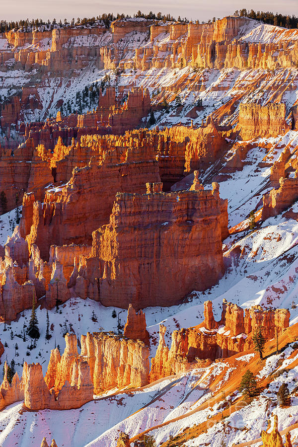 Winter sunrise in Bryce Canyon Photograph by Henk Meijer Photography